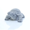 Черепаха малая 1